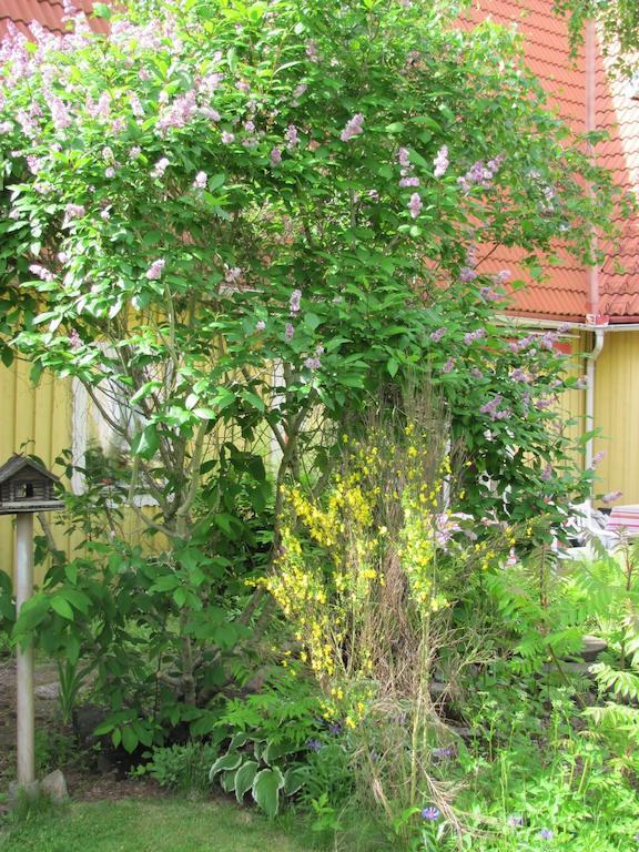 Bed and Breakfast Heimdallhuset Skanes Varsjo Exterior foto